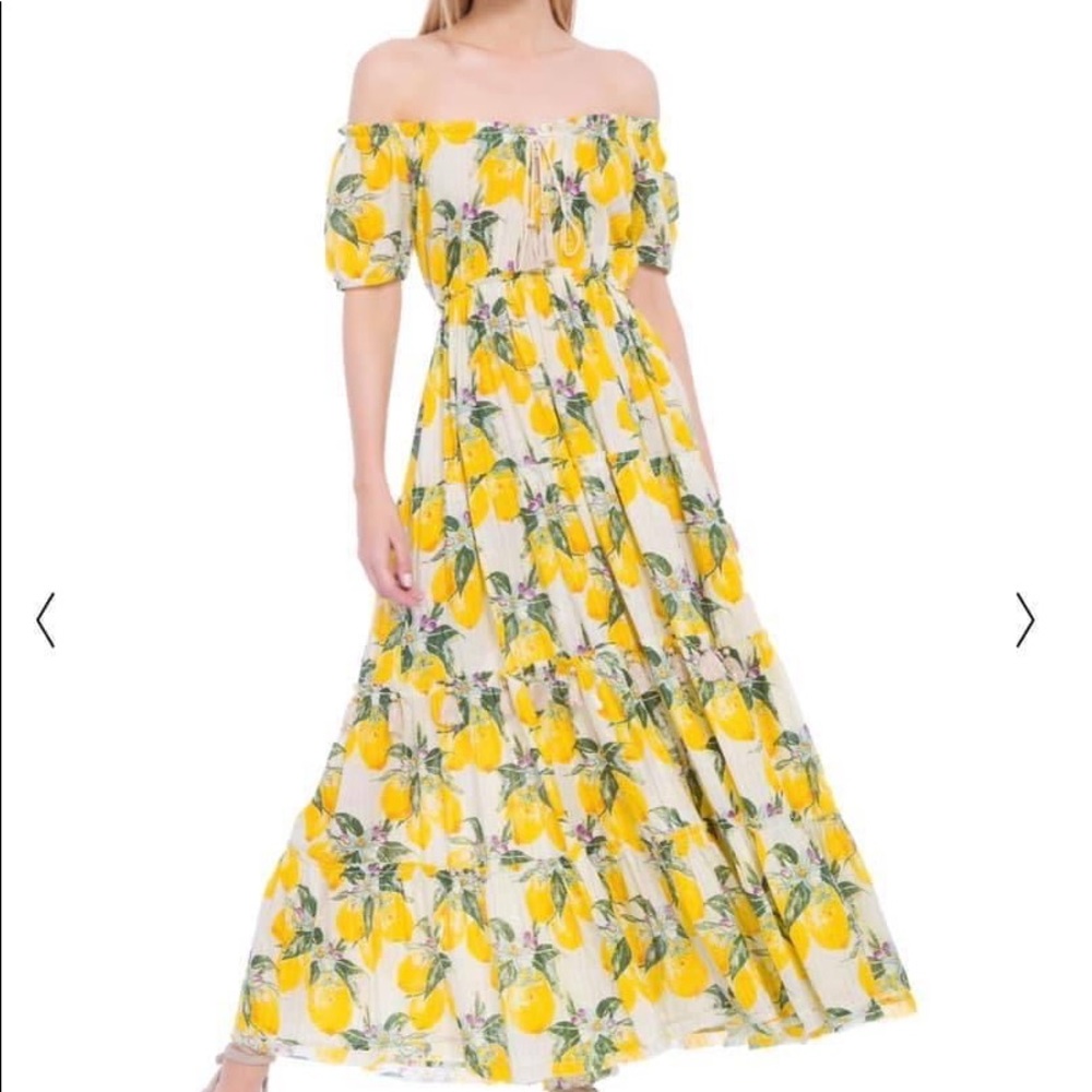 NWT FarmRio Cheirinho de Limão Maxi Dress - Picture 5 of 5